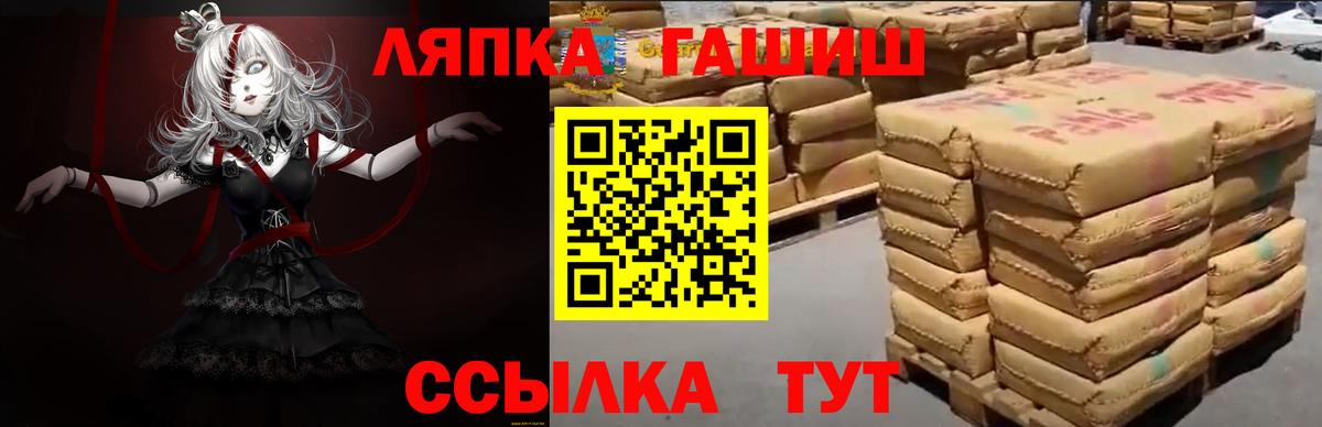 Электрогорск  ГАШ гарик  Гашиш гарик  Вход с VPN 