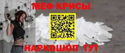 ешки Кингисепп