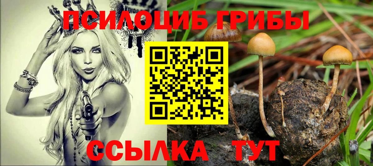 Псилоцибиновые грибы прущие грибы Электрогорск