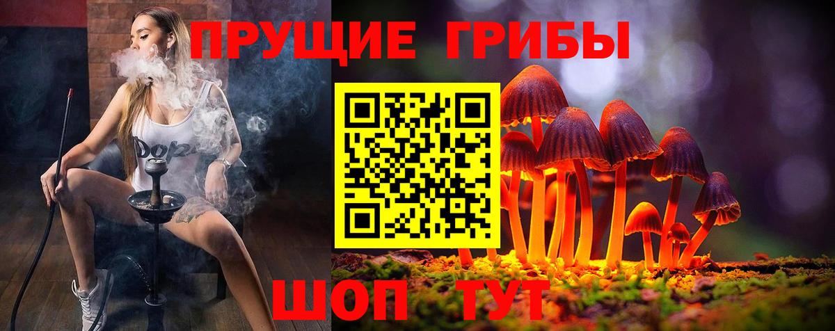 как найти   Псилоцибиновые грибы мухоморы  Вход с VPN  Электрогорск 